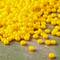 12 Pack: John Bead Czech Glass Seed Beads, 11/0